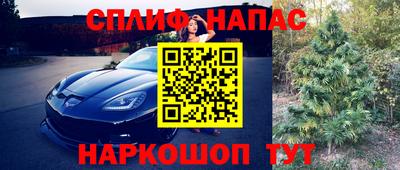 индика Кизляр