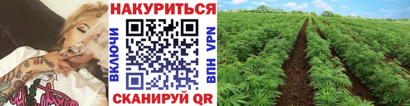 гидра онион  где найти наркотики  Химки  Марихуана MAZAR 